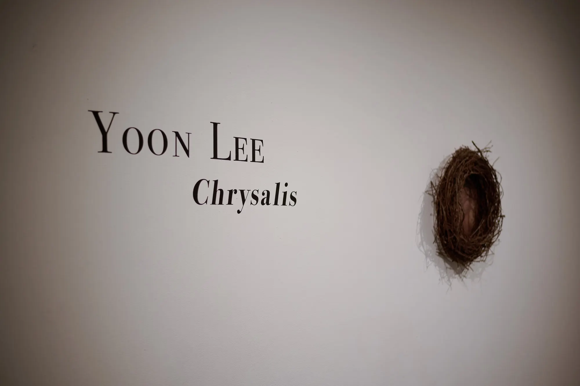 Chrysalis (2024), Yoon Lee — installation view 1 of 18