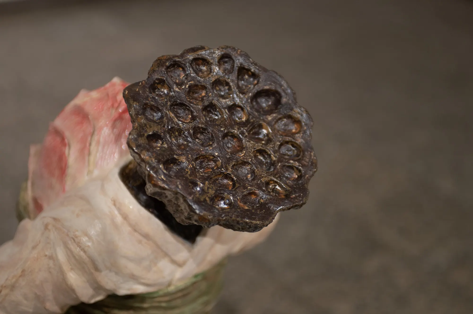 The Weight of Blossom, 2025, Ceramic, 12 x 12 x 30 in — view 2 of 8