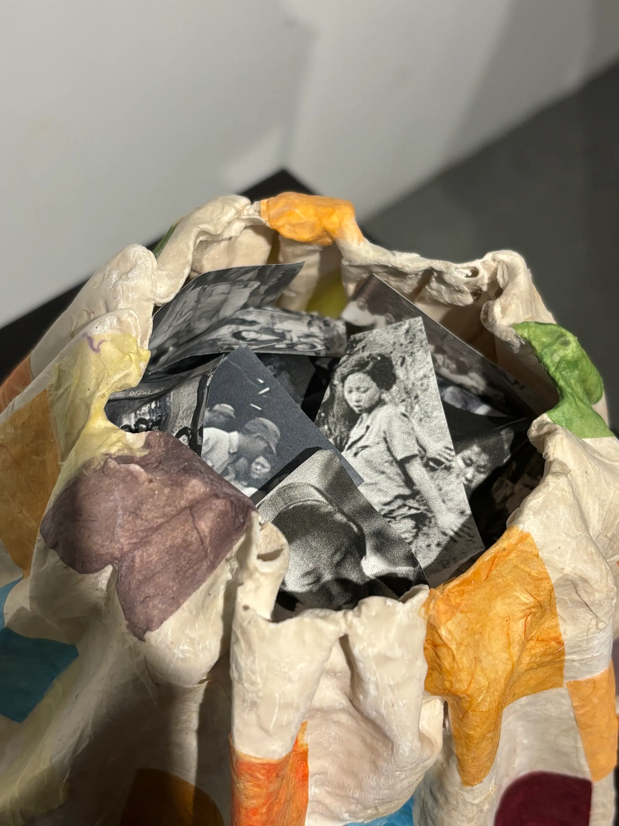 Vulnerable (2024) by Yoon Lee, Aqua resin, mulberry paper, and photos — image 3 of 3